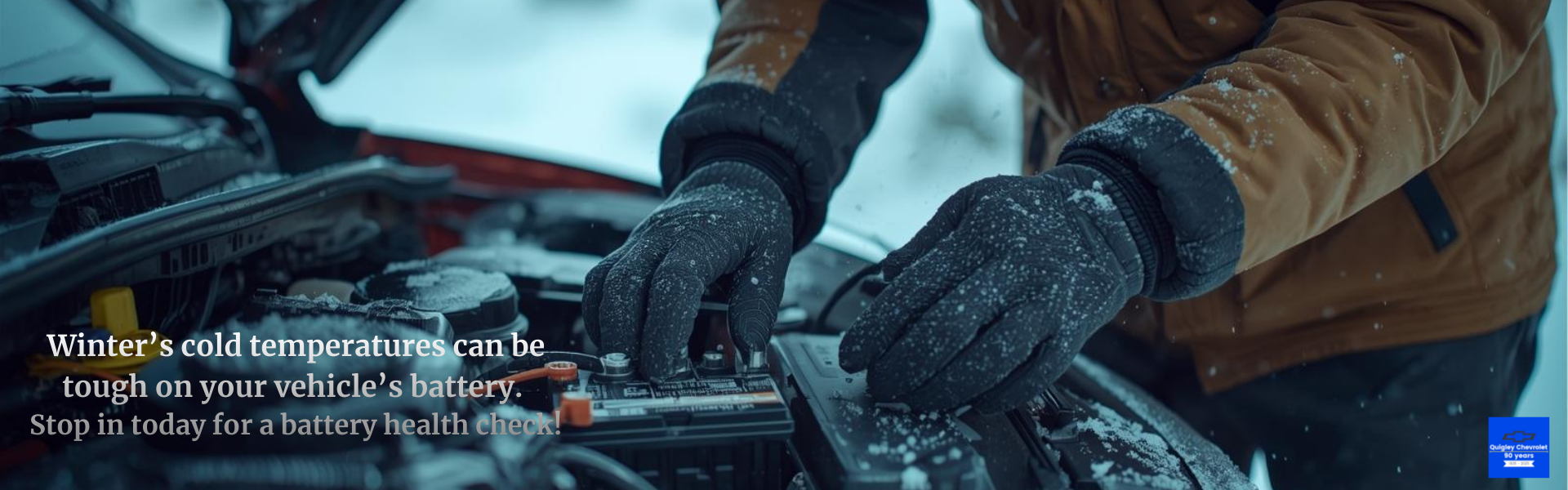 Battery Health Check 